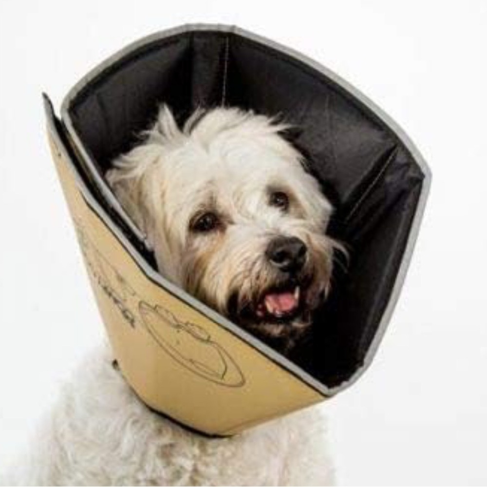 NEW The Comfy Cone